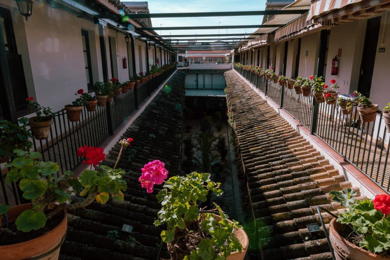 Apartamento Con Encanto En Patio Sevillano Exteriör bild
